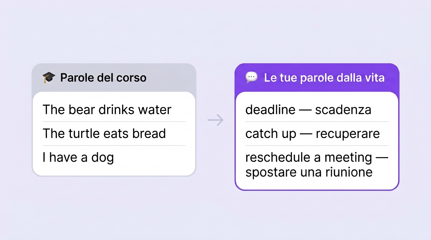 Parole del corso a confronto con le tue parole prese dalla vita reale