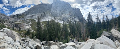 magnific — magnificent