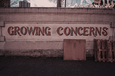 беспокойство — concern