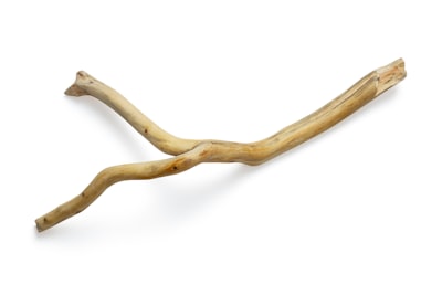 palo — Stick