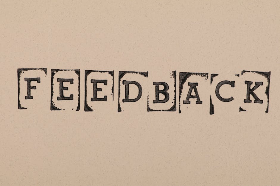 моё замечание такое — my feedback is