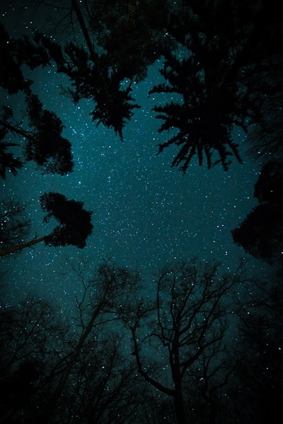 buenas noches — good night