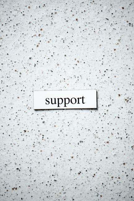 я поддерживал — I supported