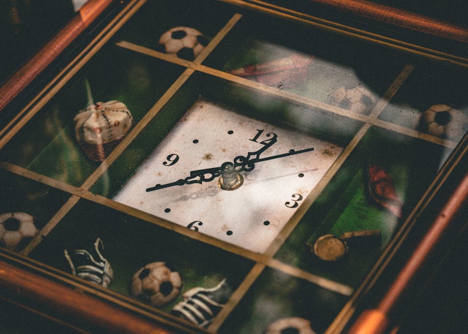 сроки — timeframe