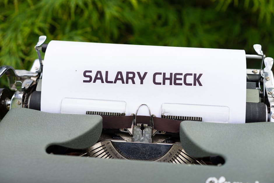 зарплатная вилка — salary range