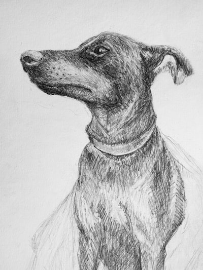 bocetos — sketches