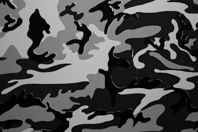 camuflaje — camouflage