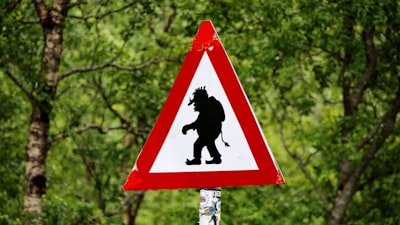 тролль — troll
