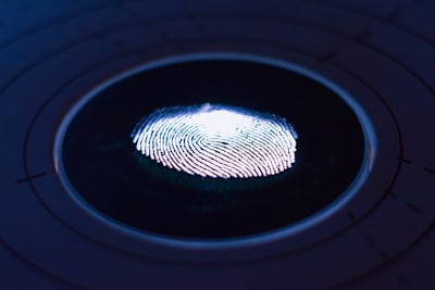 отпечатки пальцев — fingerprints