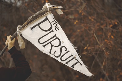 погоня — pursuit