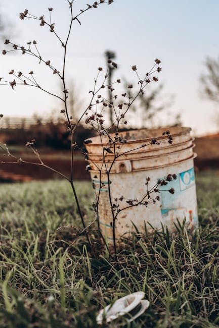 ведро — bucket
