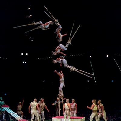 акробатический — acrobatic