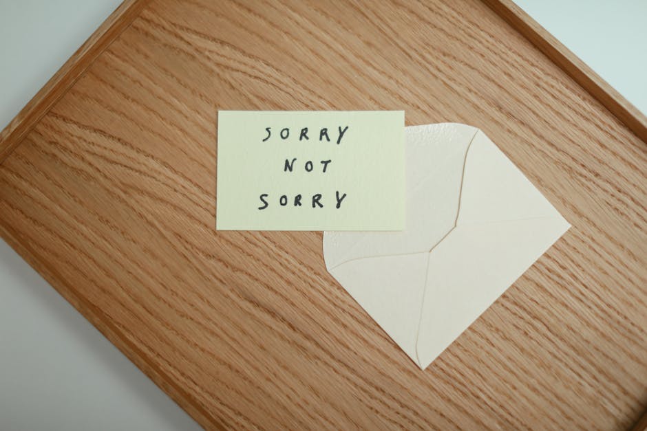 извиняться — Apologize